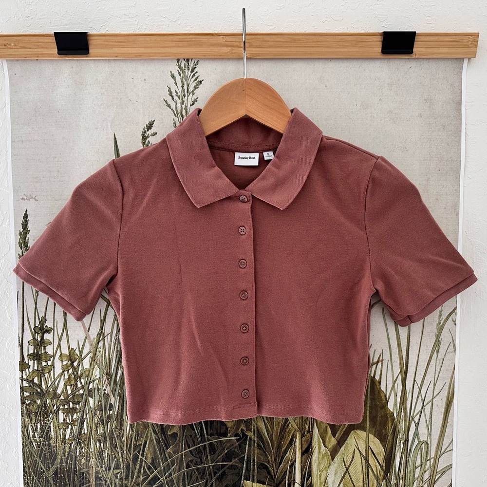 Aritzia Short Sleeve Button Polo Tee in Dusty Rose